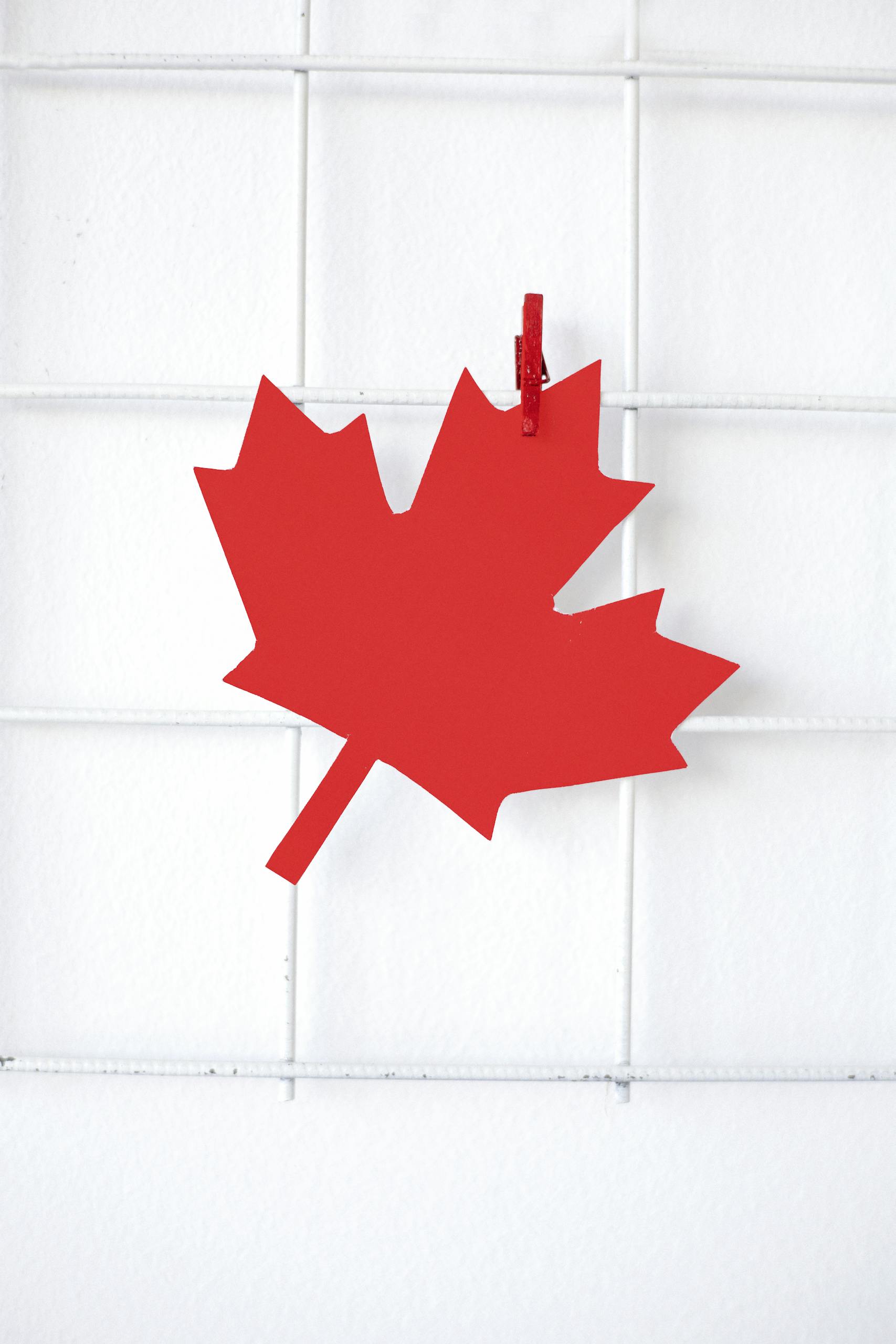 A vibrant red paper maple leaf clipped to a white grid, symbolizing Canada.